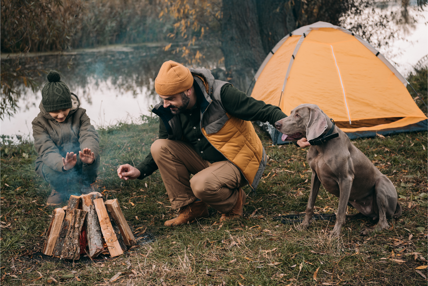 How to Set Up a Weatherproof Campsite in the Australian Bush